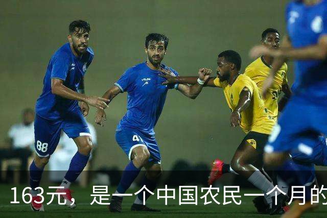163元，是一个中国农民一个月的全部尊严和保障吗？