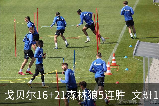 戈贝尔16+21森林狼5连胜 文班12+10马刺15连败