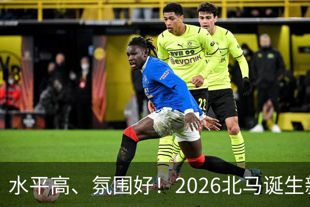 水平高、氛围好！2026北马诞生新纪录，赛事组织获选手认可