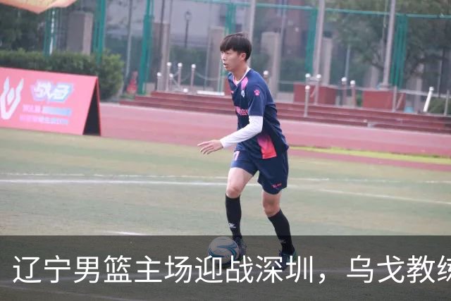 辽宁男篮主场迎战深圳，乌戈教练手携四大利好冲击连胜