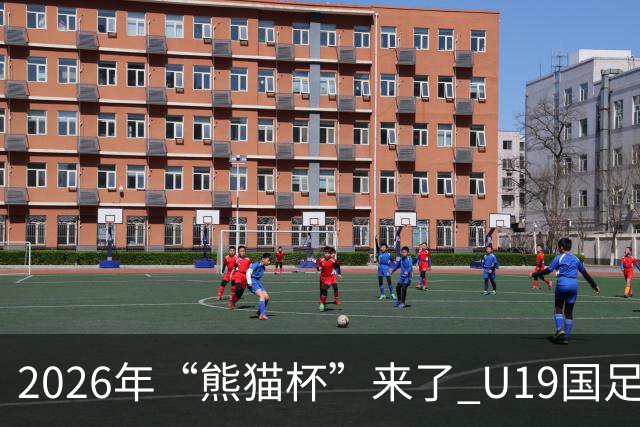 2026年“熊猫杯”来了 U19国足11月坐镇成都，首战越南末轮碰韩国